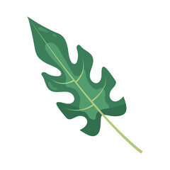 Canvas Print - leaf exotic plant icon