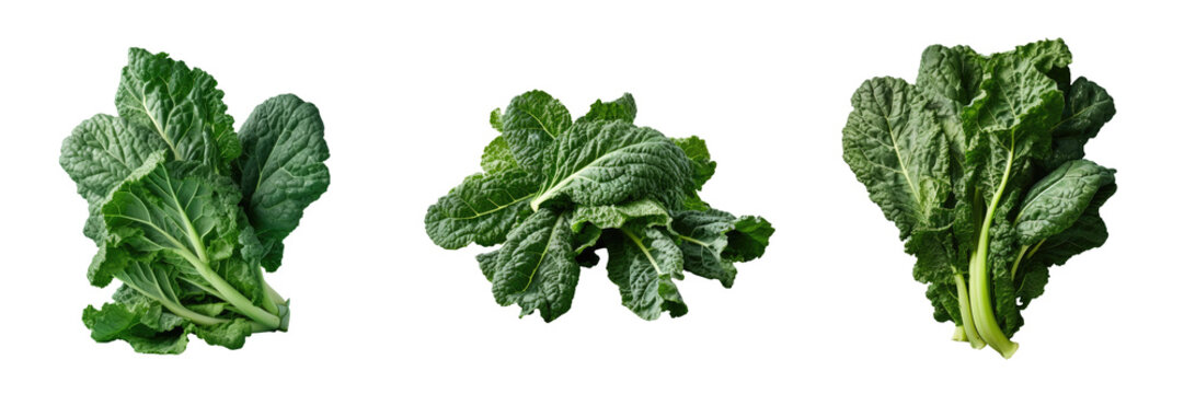 bunch of organic collard greens on a transparent background promoting raw green nutrition