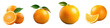Selective focus on isolated orange citrus fruit against transparent background
