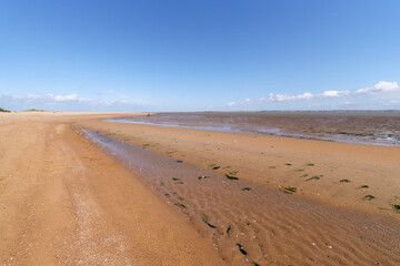 Canvas Print - Nature reserve of the Point of the Aiguillon bay 	