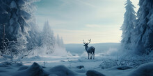 Deer In Winter Forest