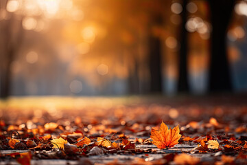 Fallen maple leaves on the ground with a blurry park in the background and sun breaking through trees at autumn