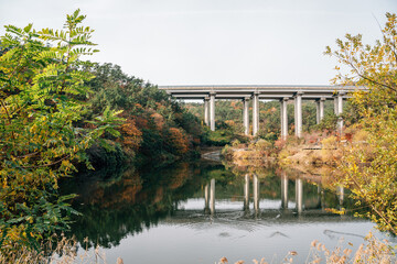 Gijang Sara Waterside Park autumn scenery in Busan, Korea