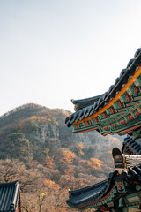 Sticker - Gijang Jangansa Temple autumn scenery in Busan, Korea