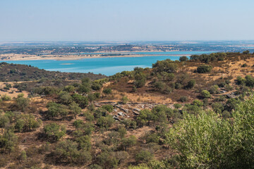 Wall Mural - Trees in hill in viewpoint to Alqueva dam and mountains of Spain on the horizon, Monsaraz PORTUGAL