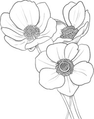 Sticker - Anemone flowers hand drawn