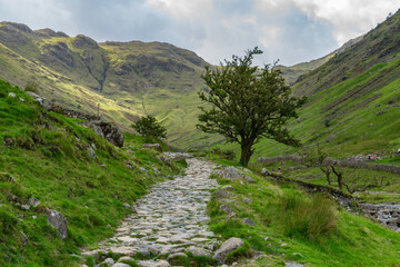 Wall Mural - Path in the Lake District at Seathwaite, Cumbria, UK