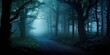 © Bussakon - Mysterious misty morning nature. Embracing darkness. Foggy forest landscape. Lost in woods. Misty autumn path