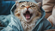 © toodlingstudio - Cute cat opening its mouth wide Wear colorful winter pajamas.