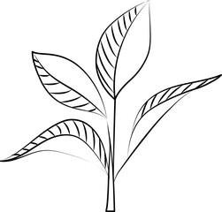 Canvas Print - Isolated Leaves Stem Icon In Line Art.