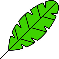 Sticker - Isolated Green Banana Leaf Flat Icon.