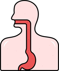 Sticker - Red And Pink Illustration Of Esophagus Anatomy Flat Icon.