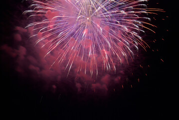 Wall Mural - Holiday fireworks on black sky background