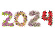 Four season flower New Year 2024