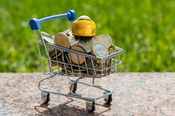 Wall Mural - Miniature yurt (traditional nomad house) and 100 and 200 Kazakh tenge coins in a miniature shopping cart from a supermarket