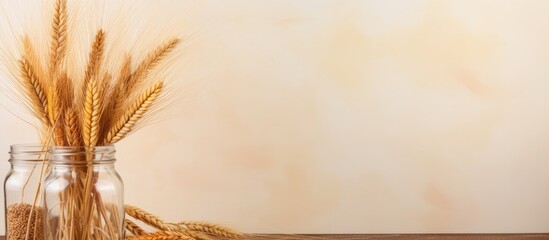 Wheat stored in a jar made of brown glass isolated pastel background Copy space