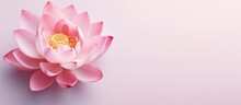 Isolated Gorgeous Pink Lotus On A Isolated Pastel Background Copy Space