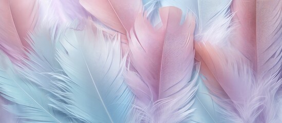 Aufkleber - Abstract art design with soft colors and feather textures in a blurred postcard style inspired by fashion trends isolated pastel background Copy space
