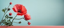 Isolated Isolated Pastel Background Copy Space Macro Of Vibrant Red Oriental Poppy Flower With Green Leaves
