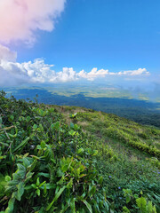 Wall Mural - Nicaragua landscape from green volcano view