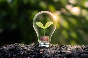 Poster - A tree that grows on coins or money in an energy-saving light bulb. Energy concepts, renewable energy, and alternatives for a sustainable world.