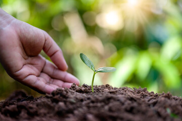 Poster - Planting trees into the soil by the hands of farmers.