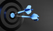 Dart arrow on center of dartboard, metaphor to target success, winner concept,competitive advantage, strategic marketing concept