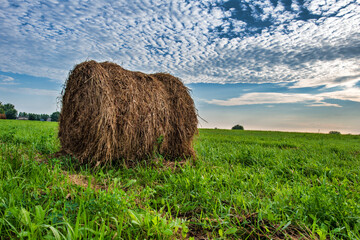 Wall Mural - Round hay bale low angle and cloud filled sky.