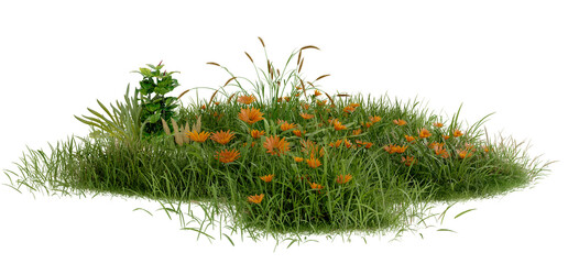 Poster - PNG Green grass field and flower, 3d illustration rendering