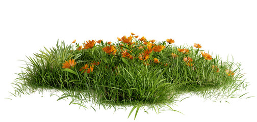 Poster - PNG Green grass field and flower, 3d illustration rendering