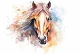 Fototapeta Konie - Beautiful watercolor portrait of a horse in aquarelle style