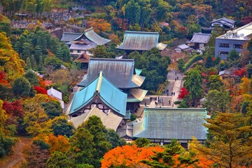 Canvas Print - Beautiful autumn in Kamakura, Japan