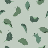 Fototapeta Morze - Seamless pattern in pastel restrained shades of green with apple leaves