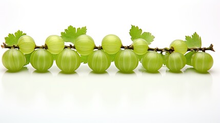 Wall Mural - An image of a ripe and vibrant gooseberry neatly arranged in a row.