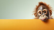 text space for advertising with funny part as portrait of a cute little orang utan peeking over a colored panal