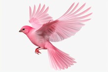 A Pink Bird Flying Isolated On Transparent Background. Generative AI
