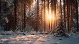 Fototapeta Na ścianę - a serene snow-covered forest, with tall pine trees and a soft blanket of snow under the winter sun