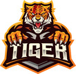 Tiger face mascot