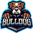 Bulldog esport mascot