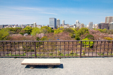 The Fukuoka city panoramic view from  and Cherry blossom viewing spots at Ruins of Fukuoka Castle (Maizuru Park)