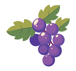 Wall Mural - grapes fresh fruit icon