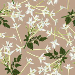 Wall Mural - A seamless pattern of Indian cork flowers. vector illustration. flower background.