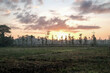 sunrise in rice fields located in Lombok, sunrise over the field, sunrise in the ricefield, sunrise in the morning