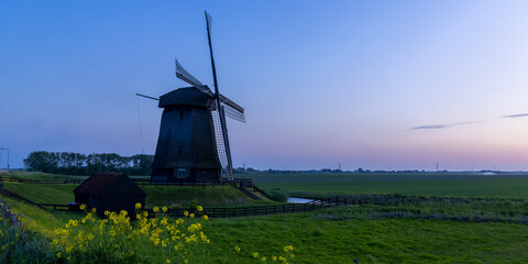 Wall Mural - Historic windmill near Schemerhorn in the Netherlands under evening light.