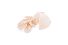 White Ear Mushroom Or White Jelly Mushroom Isolated On White Background