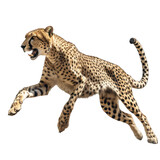 majestic cheetah feline big cat running towards camera, isolated on transparent png background, generative ai