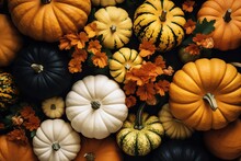 Pumpkins Of Various Sizes And Colors With Flowers, Generative AI