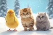 cute kittens with chicken