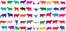Colorful Cow Silhouettes In A Variety Of Poses And Directions. Perfect For Farm, Agriculture, And Animal-related Designs. Eye-catching And Vibrant.
