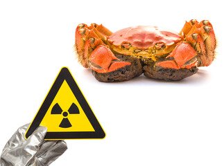 nuclear radiation warning sign and a crab concept of unsafe seafood